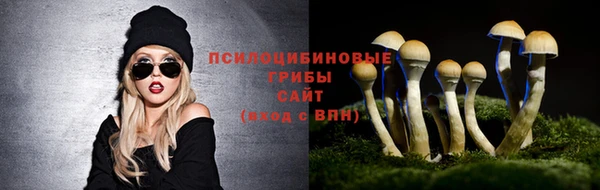 ECSTASY Алзамай