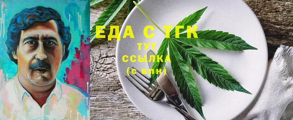 ECSTASY Алзамай