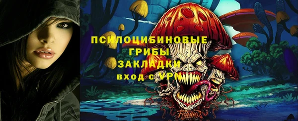 ECSTASY Алексин