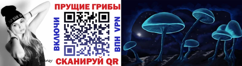 Псилоцибиновые грибы Psilocybine cubensis  Лесной 